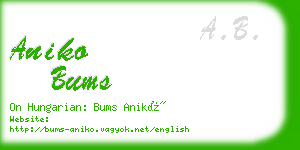 aniko bums business card